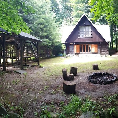 Slovak Cottage Near Bratislava In The Heart Of The Carpathians Modra Eksteriør bilde