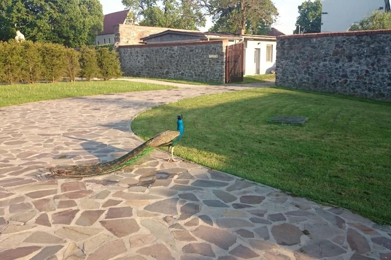 Slovak Cottage Near Bratislava In The Heart Of The Carpathians Modra Eksteriør bilde