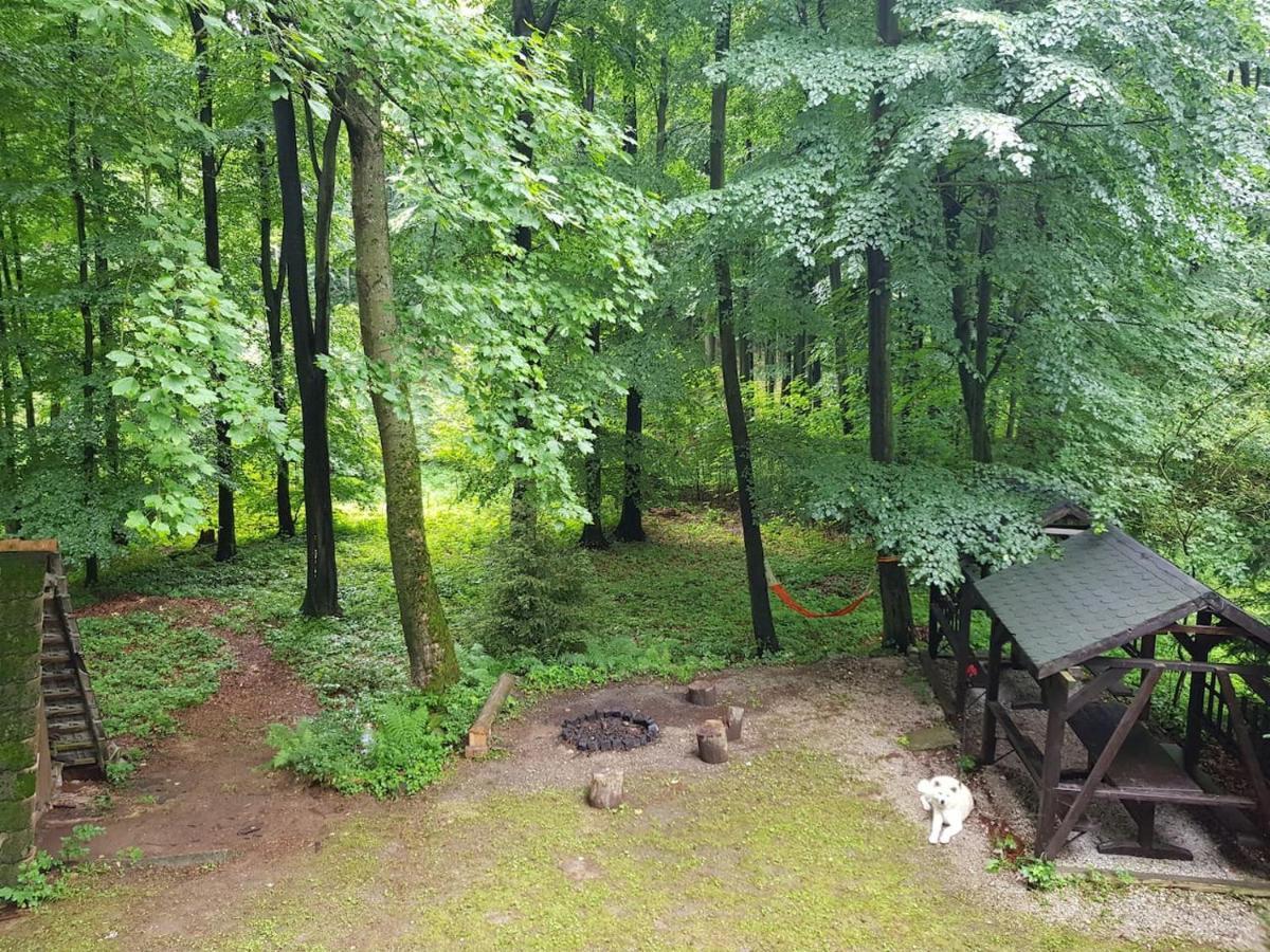 Slovak Cottage Near Bratislava In The Heart Of The Carpathians Modra Eksteriør bilde