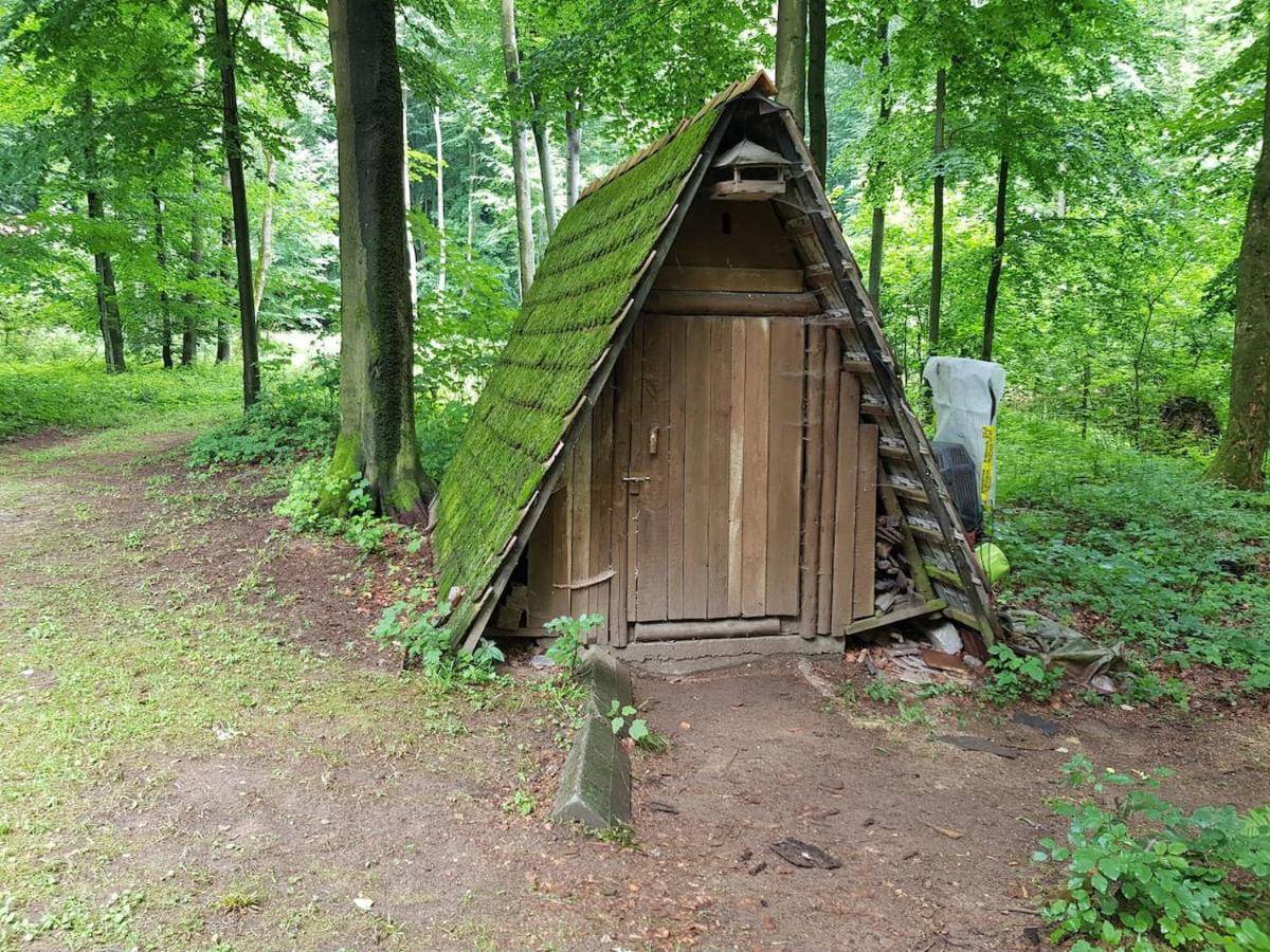 Slovak Cottage Near Bratislava In The Heart Of The Carpathians Modra Eksteriør bilde
