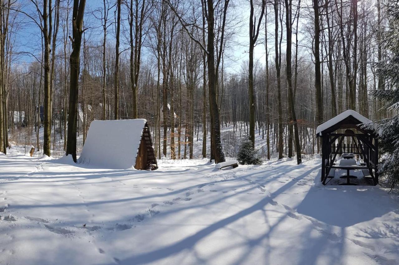 Slovak Cottage Near Bratislava In The Heart Of The Carpathians Modra Eksteriør bilde
