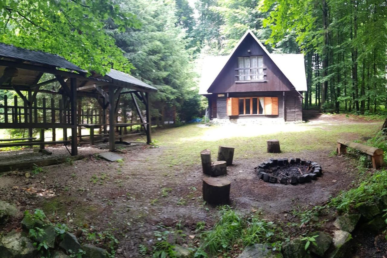 Slovak Cottage Near Bratislava In The Heart Of The Carpathians Modra Eksteriør bilde