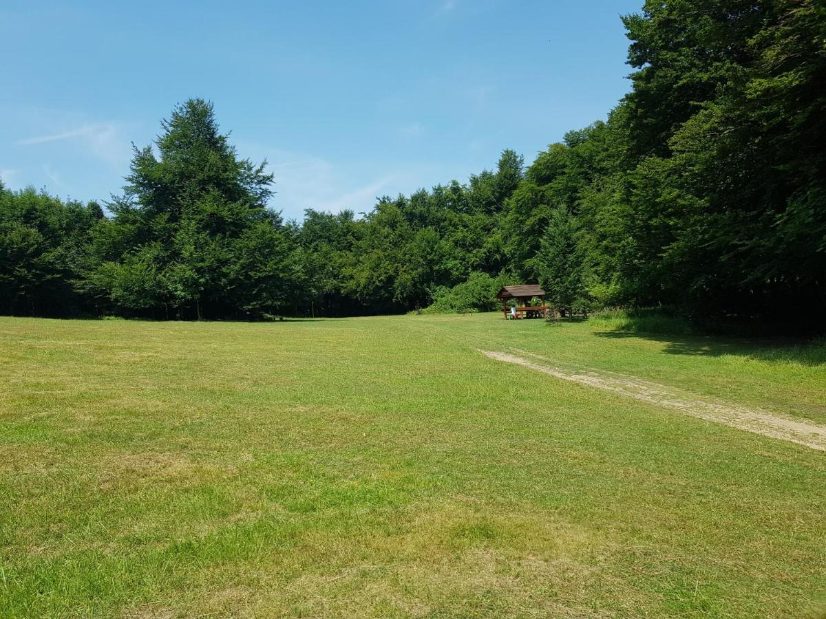 Slovak Cottage Near Bratislava In The Heart Of The Carpathians Modra Eksteriør bilde